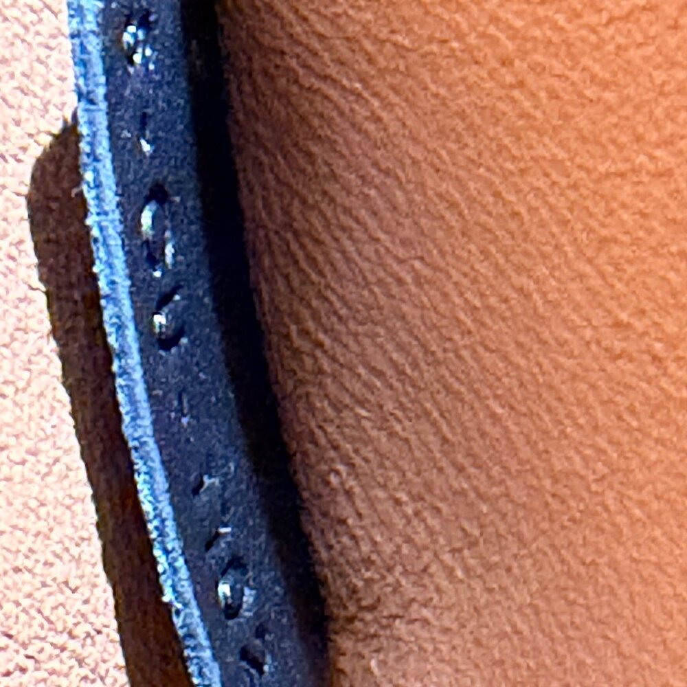 Celine Beige Python Tricolor Leather Medium Trape… - image 12